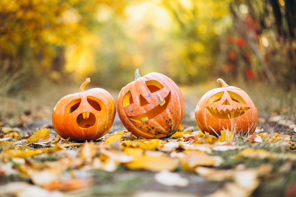 Tres calabazas puestas sobre el suelo. Cada una de ellas tiene creada una cara típica de Halloween. En el suelo se ven hojas caídas y el fondo está desenfocado.